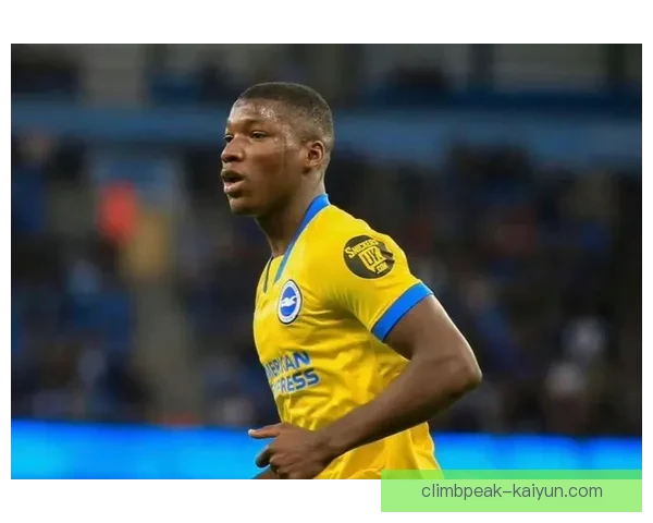 凯塞多效力布莱顿期间表现稳健，今夏转会英超引关注