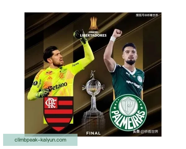 南美杯最新冠军归属及夺冠历程分析
